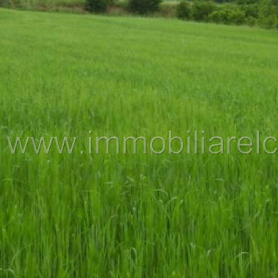 Terreno agricolo seminativo – Azzano Decimo – rif.# IMV-E06/15
