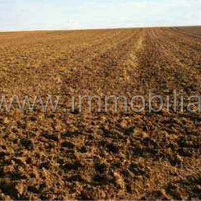 Terreno agricolo seminativo – Pasiano di Pordenone – rif.# IMV-E07/15