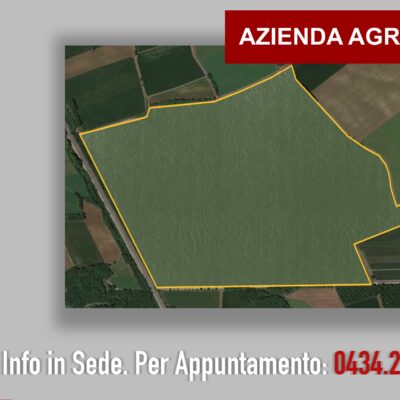 Azienda Agricola – Provincia Udine – rif.# IMV-A07/23